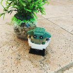 Giving away roebucks for pets