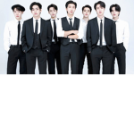 Group of BTS fans