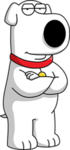 dev studio 1 test