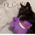 PLUCK$