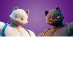 Mewoscles Gym