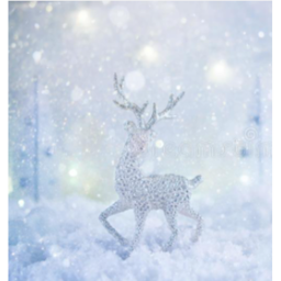 Winter Wonderland!