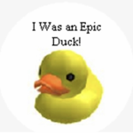 The Cool Duck Group!