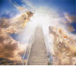 The Sword Fighters of Heaven