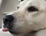 Your the only