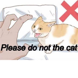 Please do not the cat