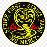 Cobra Kai FanGroup