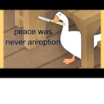 Ducc squadron