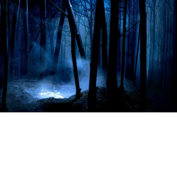 Лес и Темнота