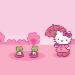 {•Hello kitty•}