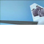 Penguin Airline