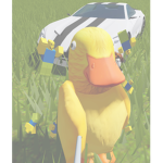 THE DUCKBOI FAMS