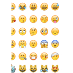 emoij fam