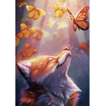 Have a great day and have fun