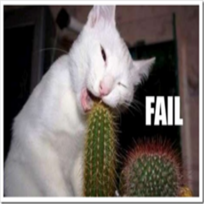 Cat Failing Roblox decal