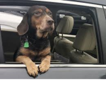 LIL snoop DA UG