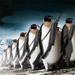 Commando Operations Penguin Squad