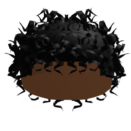 Curly Coil Black 2/1 Roblox item