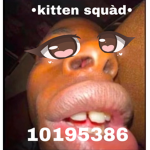 •kitten squàd•
