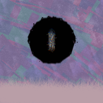 Moth?