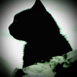 [~*~] Aurora-Clan [~*~]