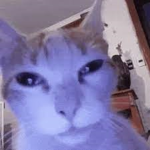 CutiSpookayGamer