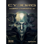 Cybornetic