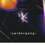 • s p I d e r g a n g •