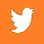 Orange Bird™