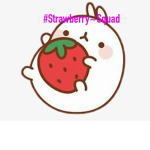 #Strawberry~Squad