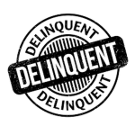 Delinquent Zone