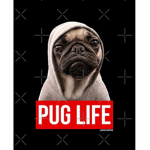 Pugs And Hugs