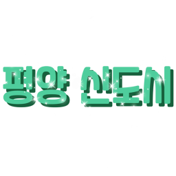 평양 신도시