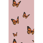Butterfly squad •~•
