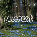 emerest