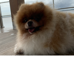 Grupo do amigo secreto