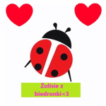 Żulisie z biedronki <3
