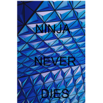 NINJA CAN'T DIE