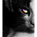 Robloxian Warrior Cats