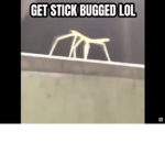 Your super cool