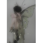 fairy grudge :0