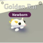 golden rat fan
