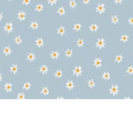 Flowers that are beautiful