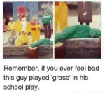 the GRASS family