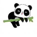 Panda nation boi