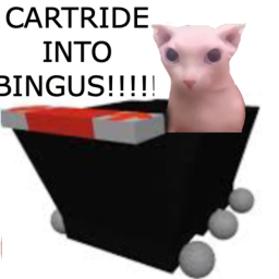 CARTRIDE INTO BINGUS!