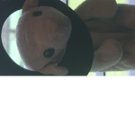 Lamby1