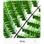 Amy_Andre-Yoshi