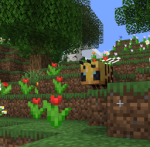 ambers bees