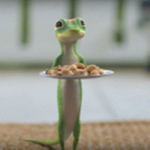 Geico gameowner insurance